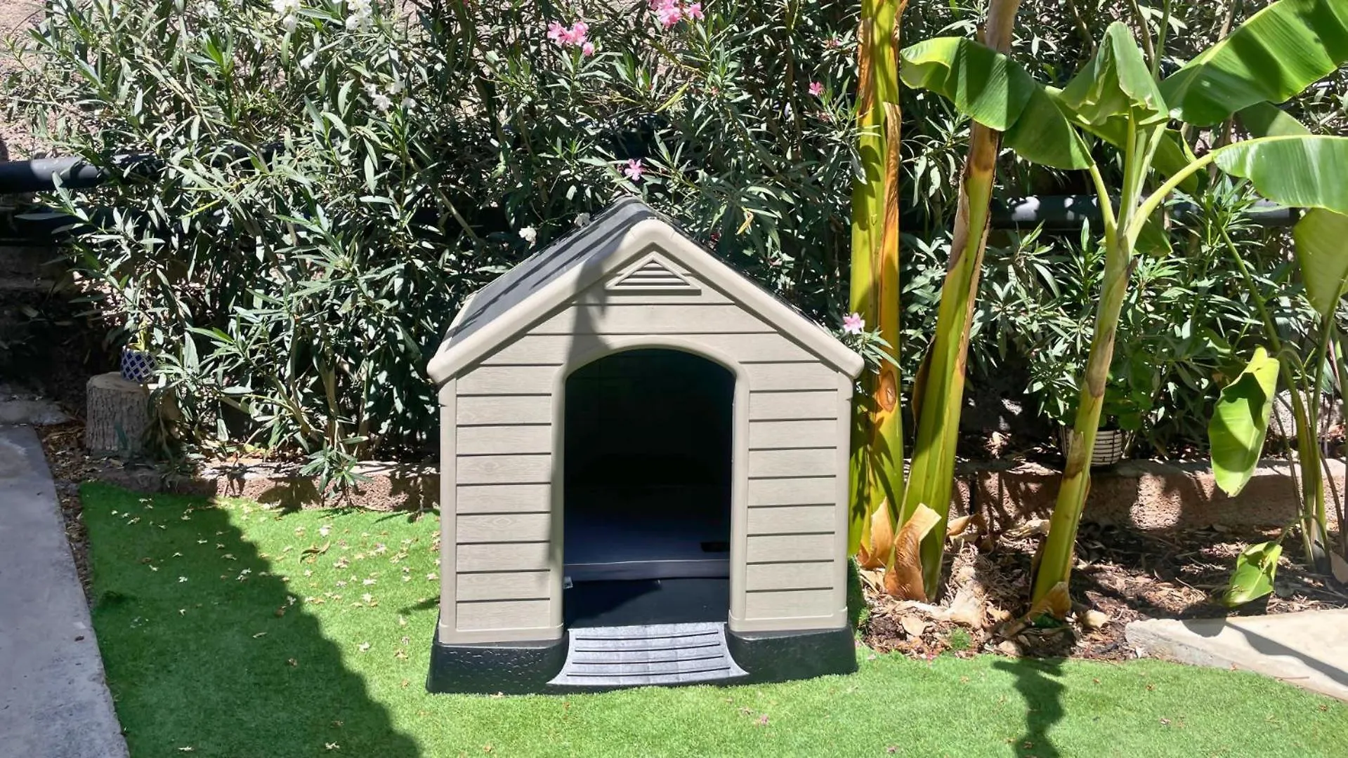Markethome Ecolodge Plataneras Chío 0*,  스페인