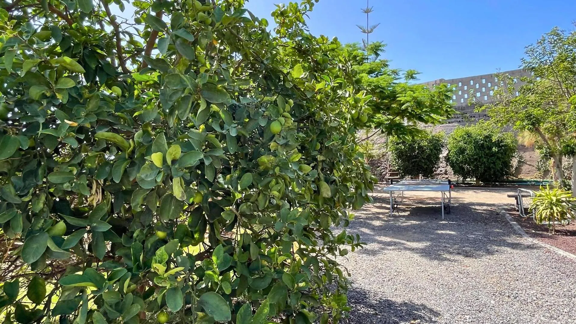 롯지 Markethome Ecolodge Plataneras Chío 스페인